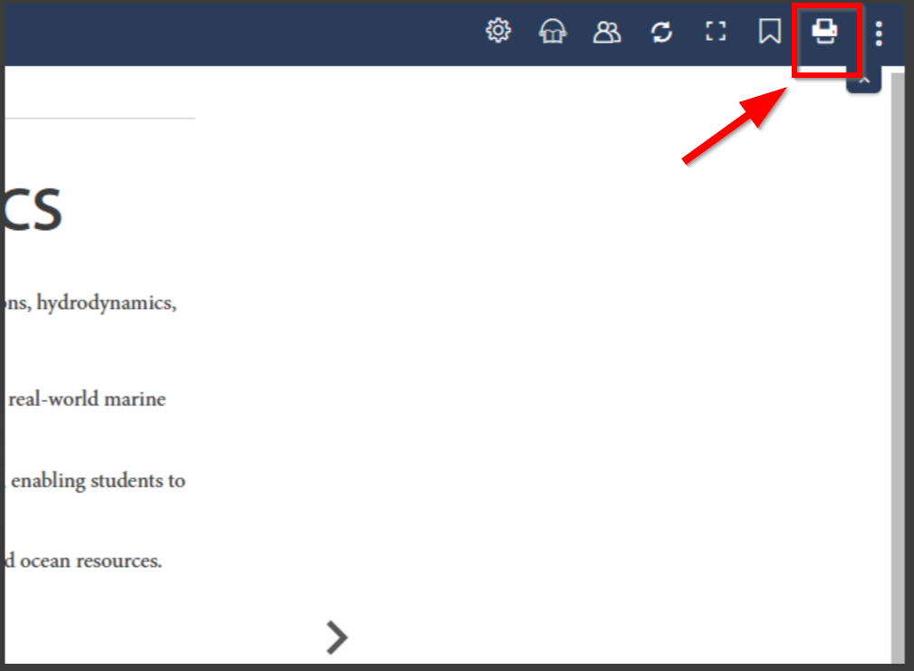 Screenshot of a web browser showing the Options menu, with the Print icon highlighted in the top-right corner.